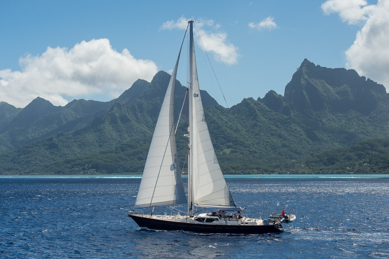Price Reduction on Sailing Yacht TOAD