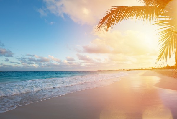 Caribbean Yacht Charter