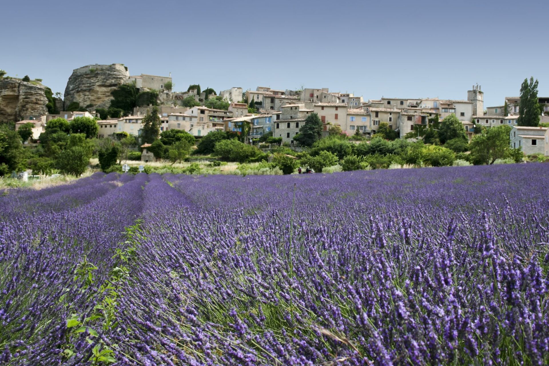 Lavender Hills in the South of France - 50m Yacht Berth for Sale - YACHTZOO