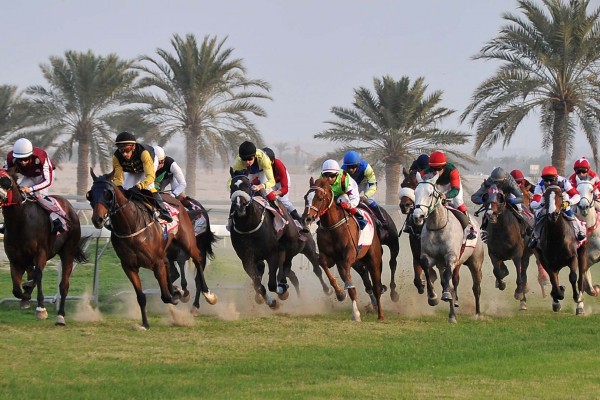 Horse Racing Dubai and Middle EastYacht Charter