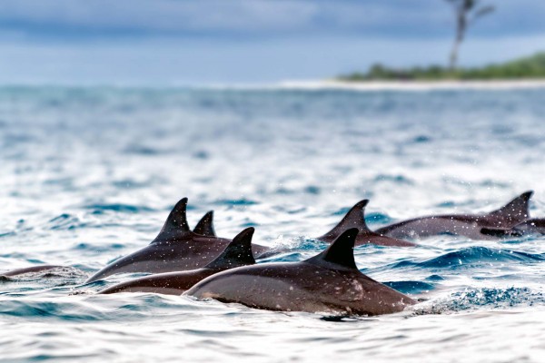 yacht-zoo-destinations-seychelles05