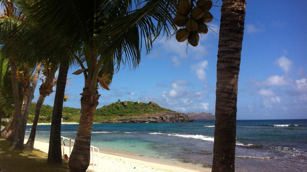 yacht-zoo-destinations-st_barths03