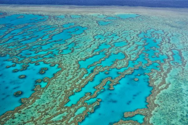 Great Barrier Reef on a Australia Yacht Charter