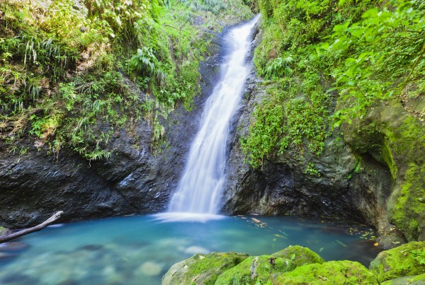 luxury yacht charters grenada