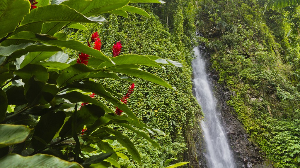 Dark View Falls, St Vincent