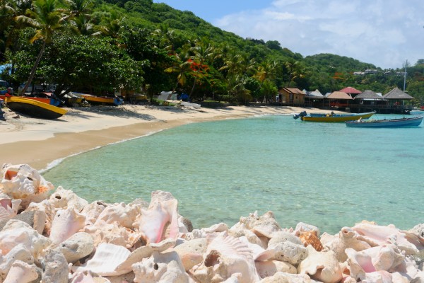 paradise island mustique st vincent and the grenadines caribbean west indies