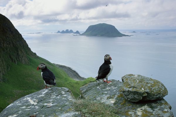 Røst, Lofoten.