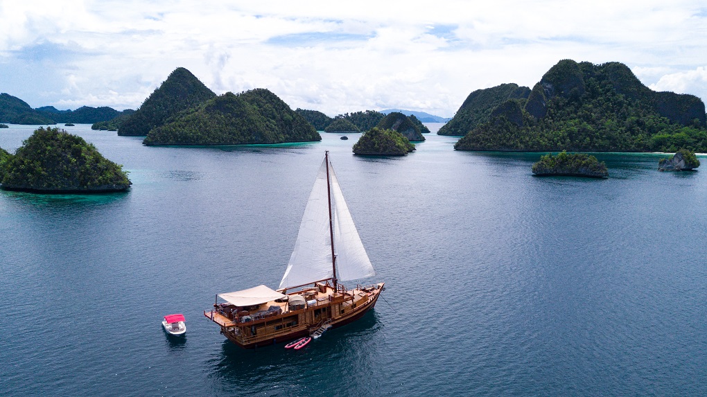 S/Y SEQUOIA yacht for charter