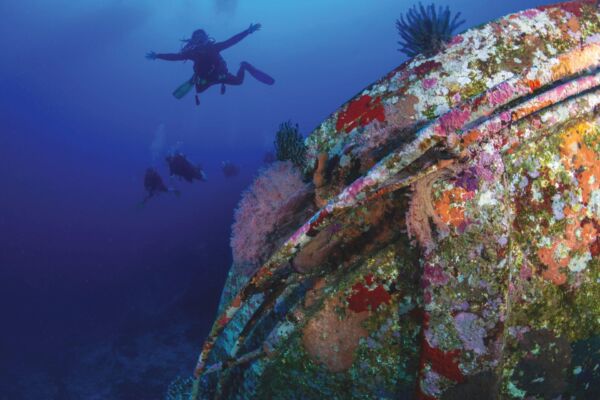 Diving in the caribbean