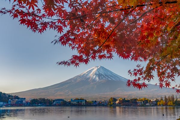 rent-a-yacht-japan-spring