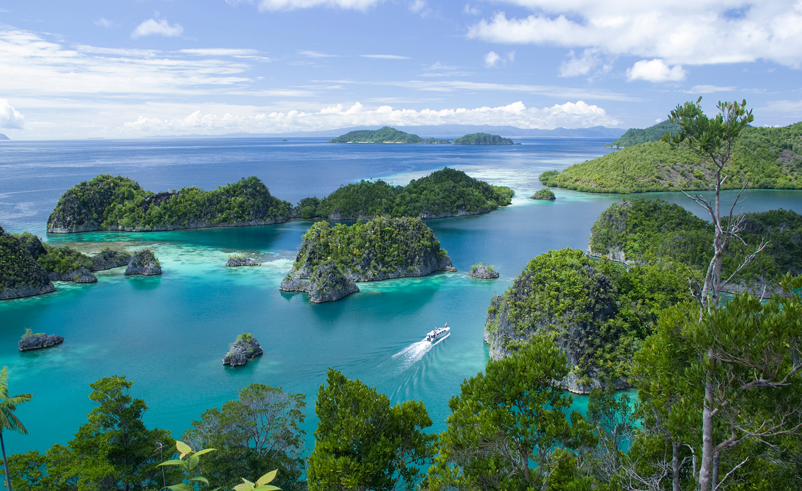 Travel to Raja Ampat from the Comfort of Your Home