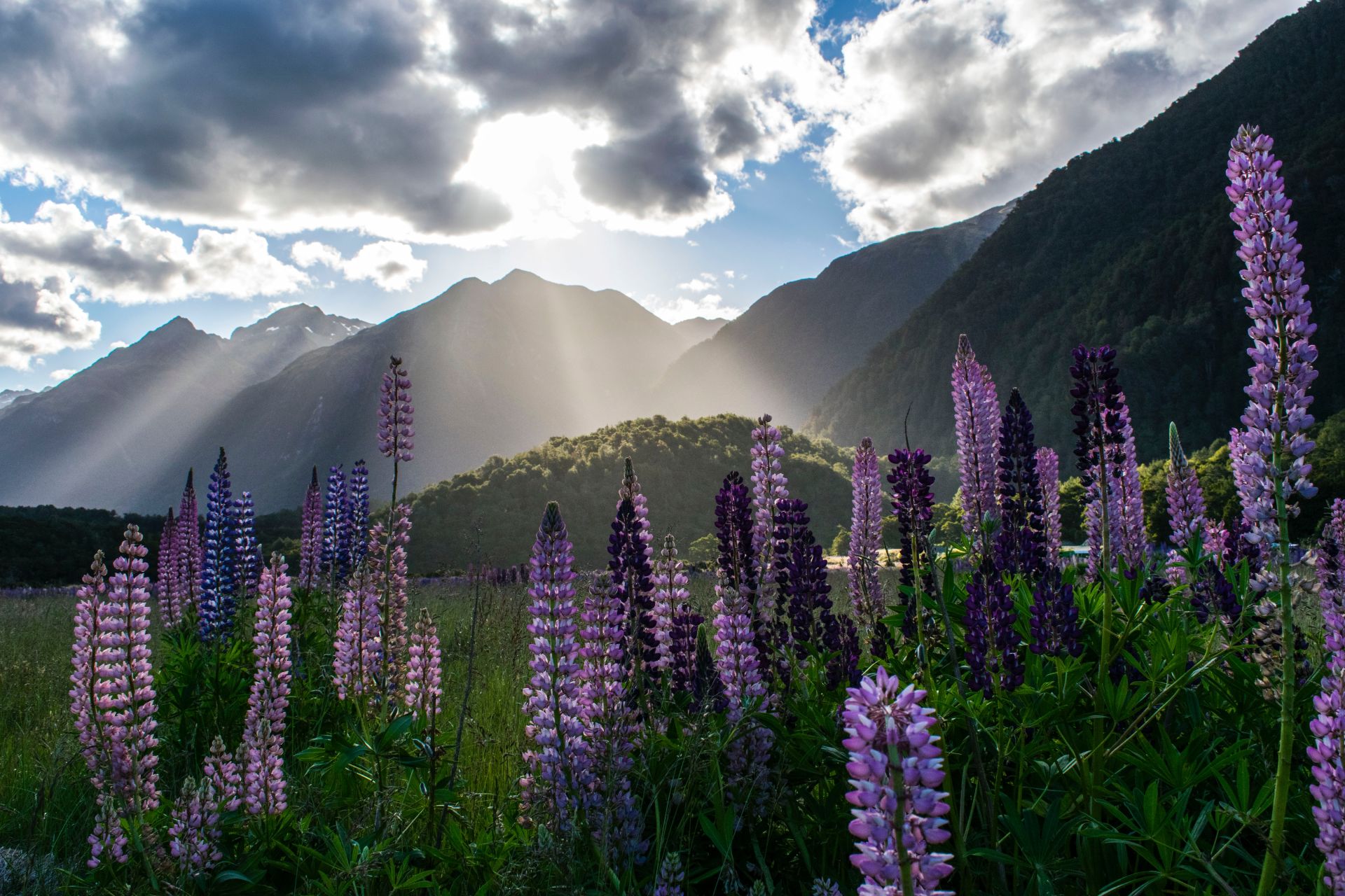 Oke Bay, New Zealand