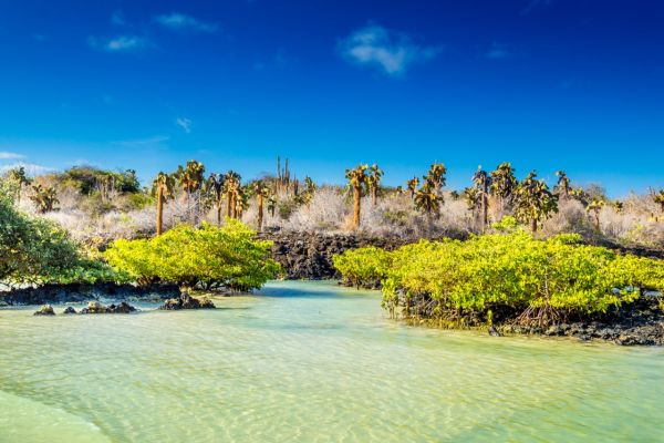 View from a Galapagos Yacht Charter