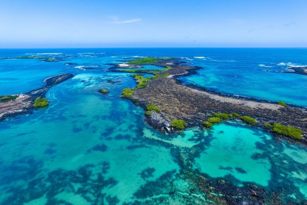 Isabel Islands on a Galapagos Private Charter