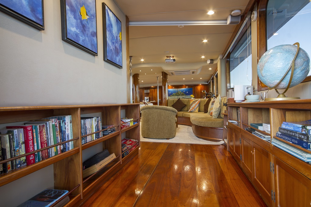 m/y yacht for charter living space