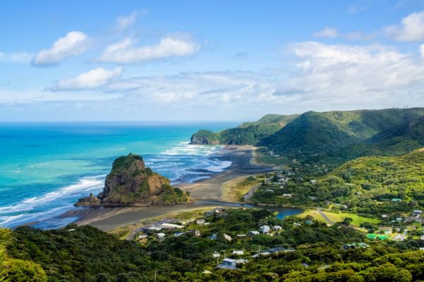 Coastline on a New Zealand Yacht Charter