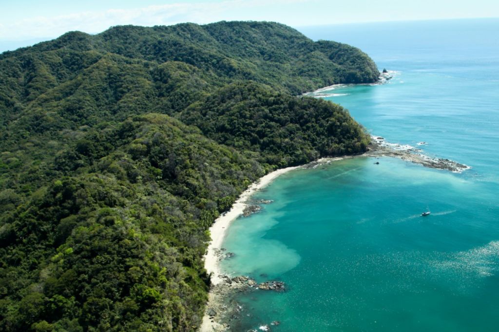 Lush Rainforest on a Costa Rica Yacht Charter