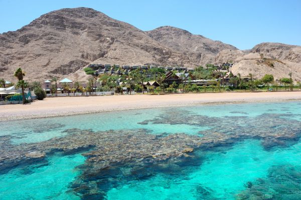 Coral Reef on a Red Sea Yacht Charter