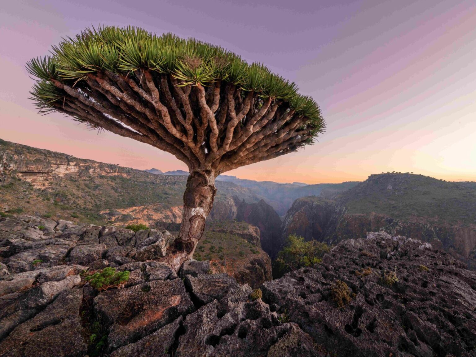 Uncharted Waters: Chartering a Yacht in Madagascar, Socotra Island, and ...