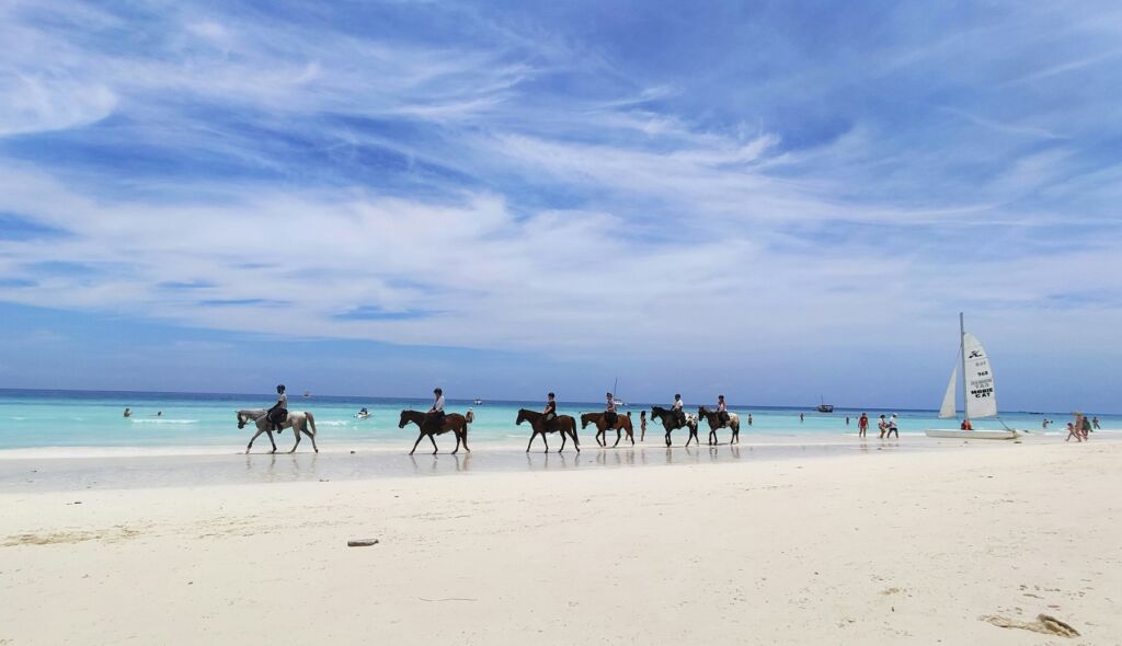 Tanzania aleksandra khoroshykh V aJWQQdV unsplash Copy Tanzania aleksandra khoroshykh V aJWQQdV unsplash Copy