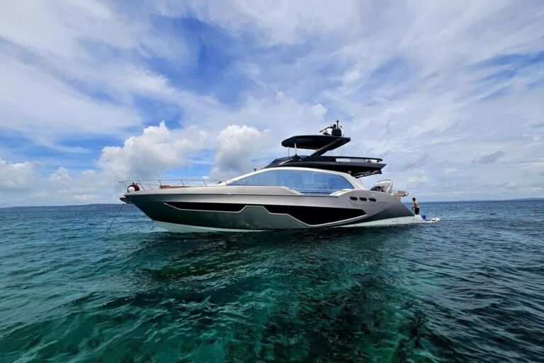 sessa gullwing fly power
