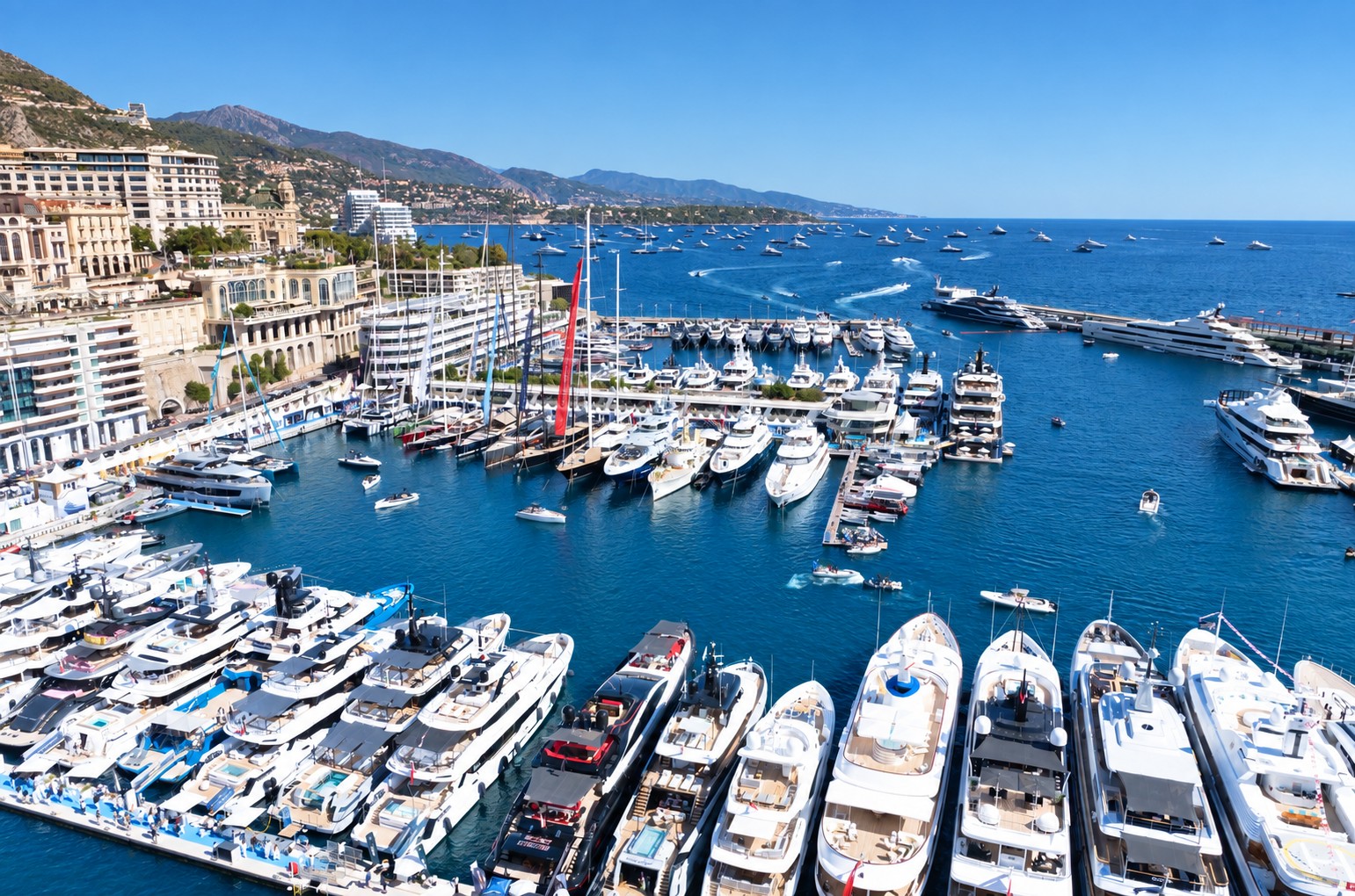 Yachtzoo at the MYS